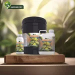 خرید کود آمینو اسید بمب - نبض سبز