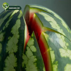 ترک خوردن هندوانه