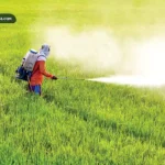 انواع کودهای ارگانیک انواع کودهای ارگانیک