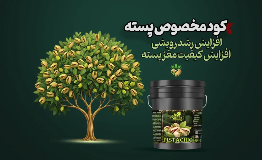 کود پسته کود پسته